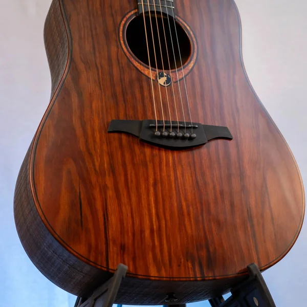 Guitare Lag Sauvage D