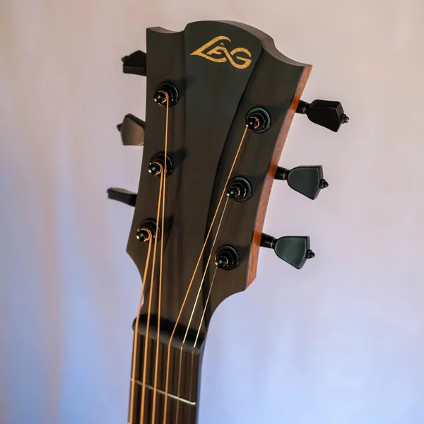 Guitare Lag Sauvage D