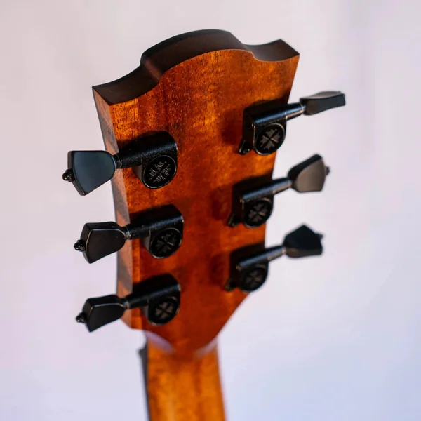 Guitare Lag Sauvage D