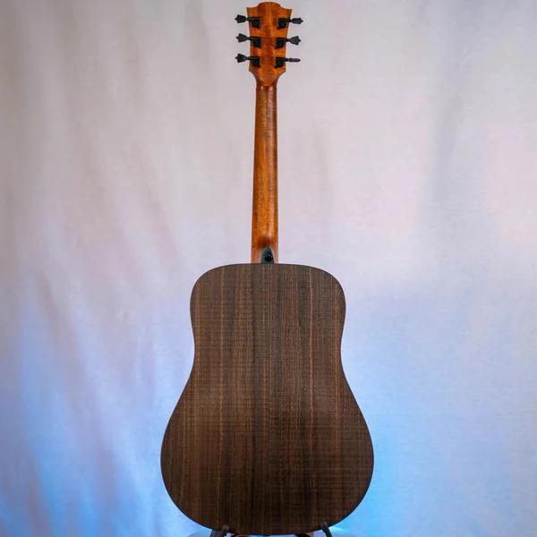Guitare Lag Sauvage D