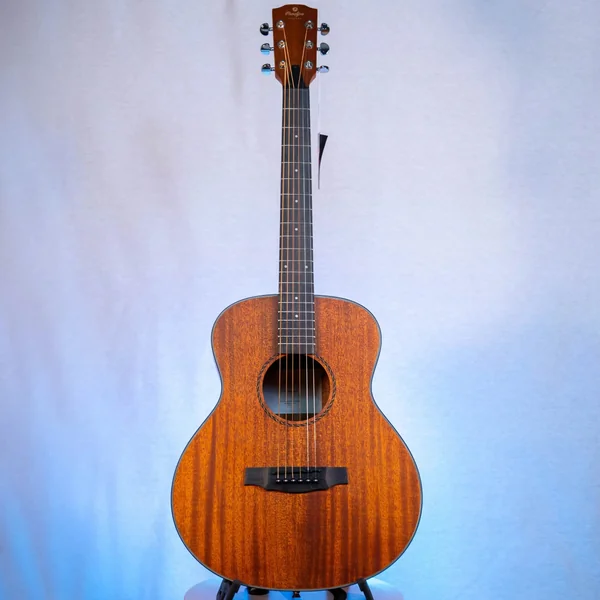 Guitare Prodipe BB27