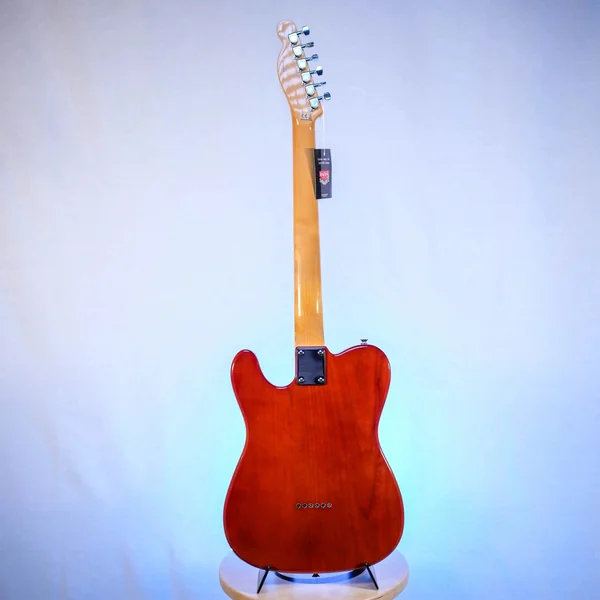 Guitare Prodipe TC90 Alder Honey Burst