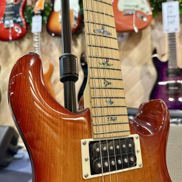 Guitare PRS Swamp Ash Special
