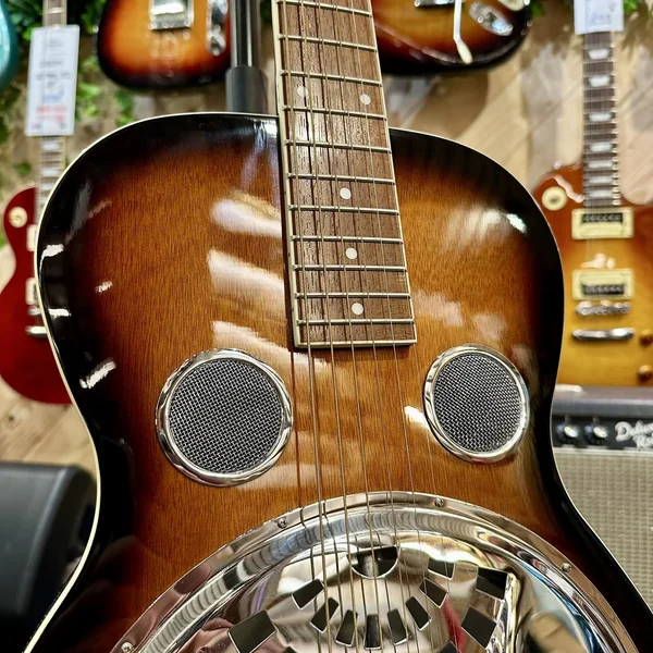 Guitare Résonateur Gold Tone Paul Beard Roundneck