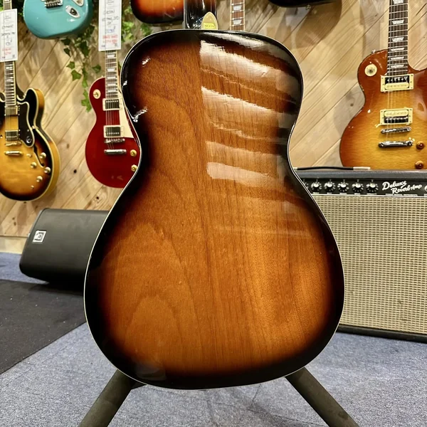 Guitare Résonateur Gold Tone Paul Beard Roundneck