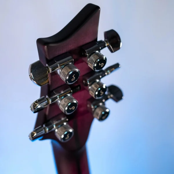 Guitare Vigier GV Hollow Purple Fade