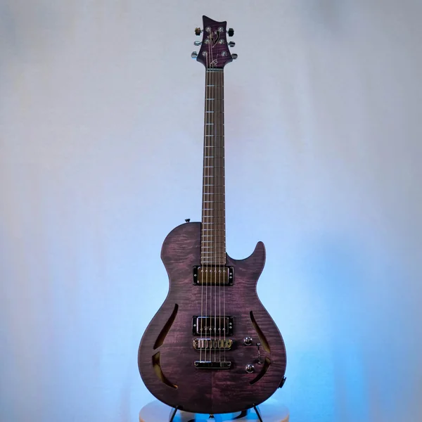 Guitare Vigier GV Hollow Purple Fade