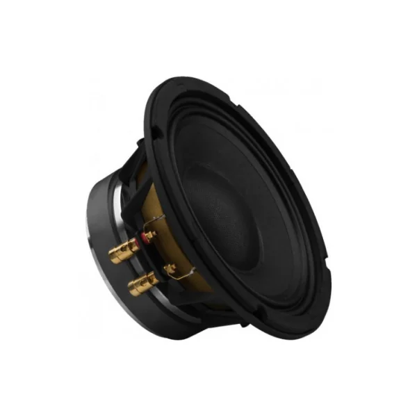 Haut parleur de 8 pouces 20 cm pour caisson de basse MAUI28G2
