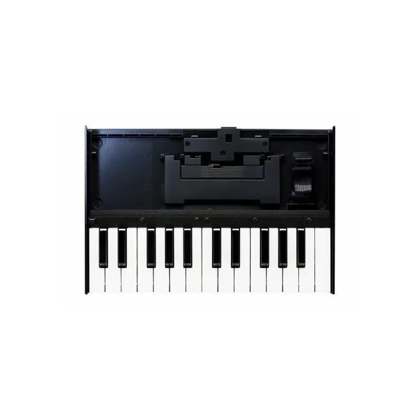 K-25M