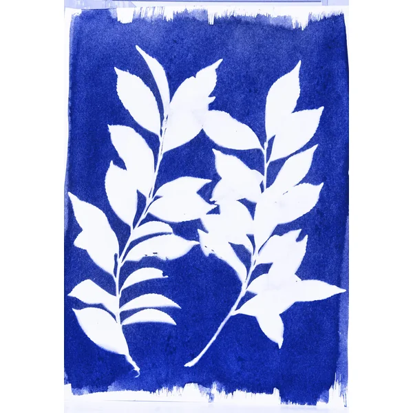 Kit Cyanotype Jacquard set de 2 flacons