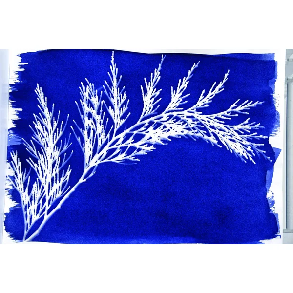 Kit Cyanotype Jacquard set de 2 flacons