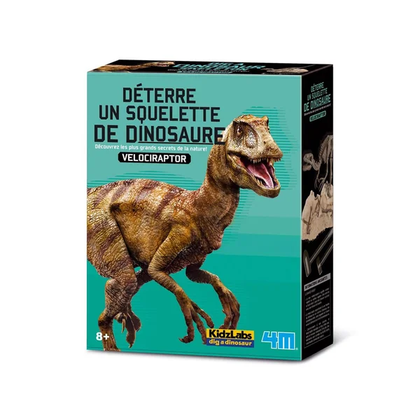 Kit DAM - Deterre ton dinosaure - Vélociraptor