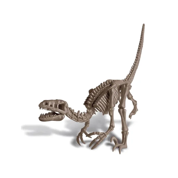 Kit DAM - Deterre ton dinosaure - Vélociraptor