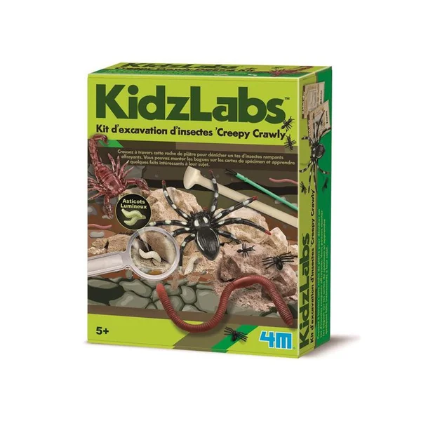 Kit DAM - Déterre tes insectes - Creepy Crawly