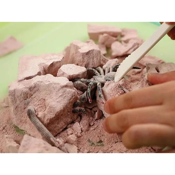 Kit DAM - Déterre tes insectes - Creepy Crawly