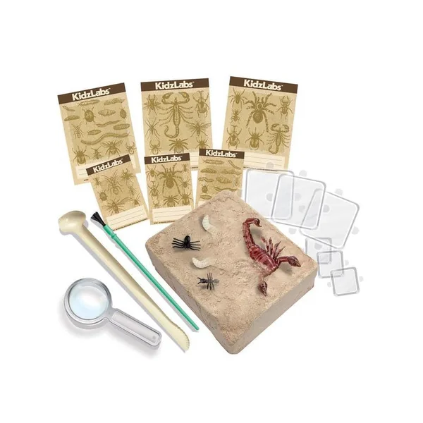 Kit DAM - Déterre tes insectes - Creepy Crawly