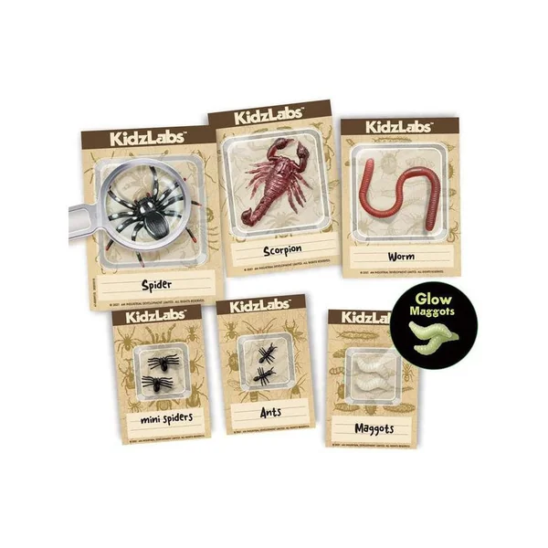 Kit DAM - Déterre tes insectes - Creepy Crawly