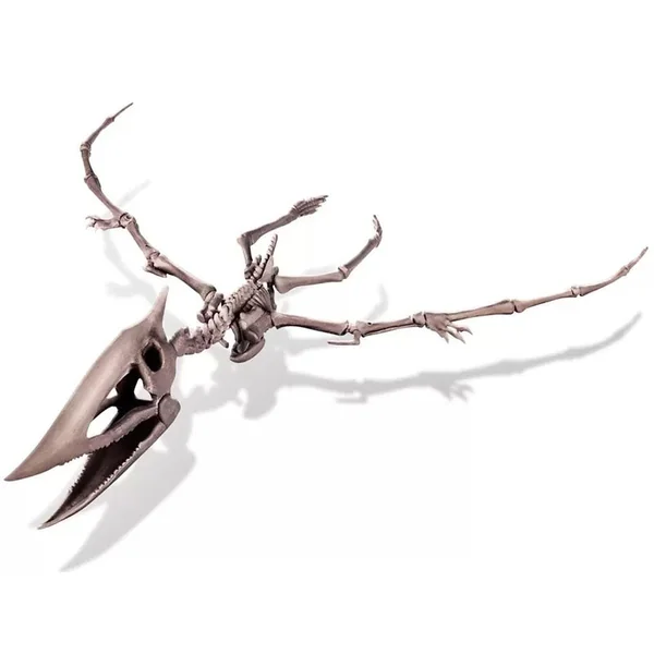 Kit DAM - Déterre ton dinosaure - Pteranodon