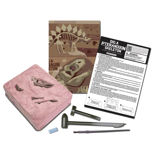 Kit DAM - Déterre ton dinosaure - Pteranodon