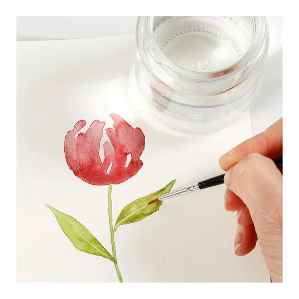 Kit de démarrage peinture aquarelle