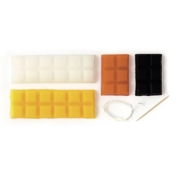 Kit DIY bougies à modeler animaux sauvages