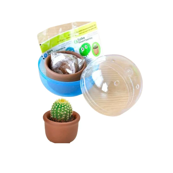 Kit Green capsule pour faire pousser un mini Cactus