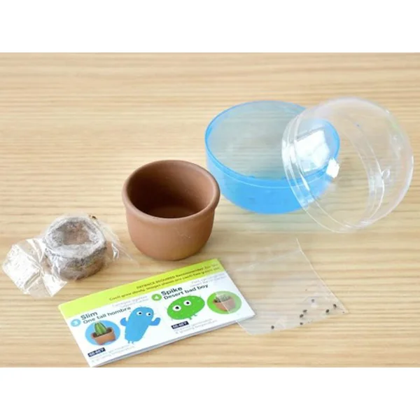 Kit Green capsule pour faire pousser un mini Cactus