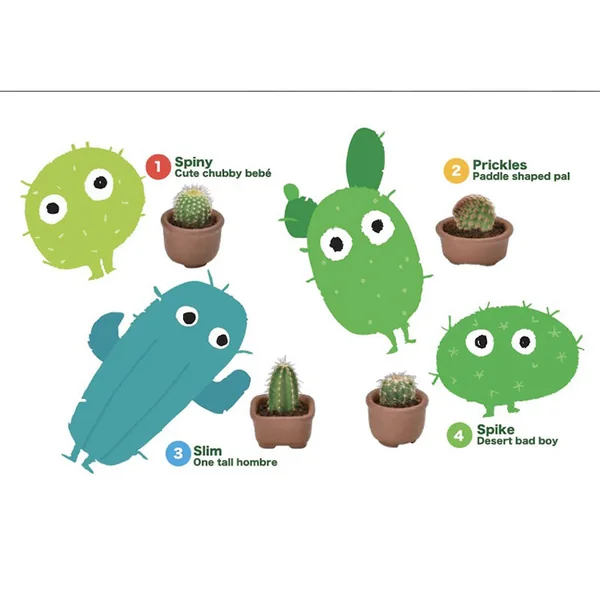 Kit Green capsule pour faire pousser un mini Cactus