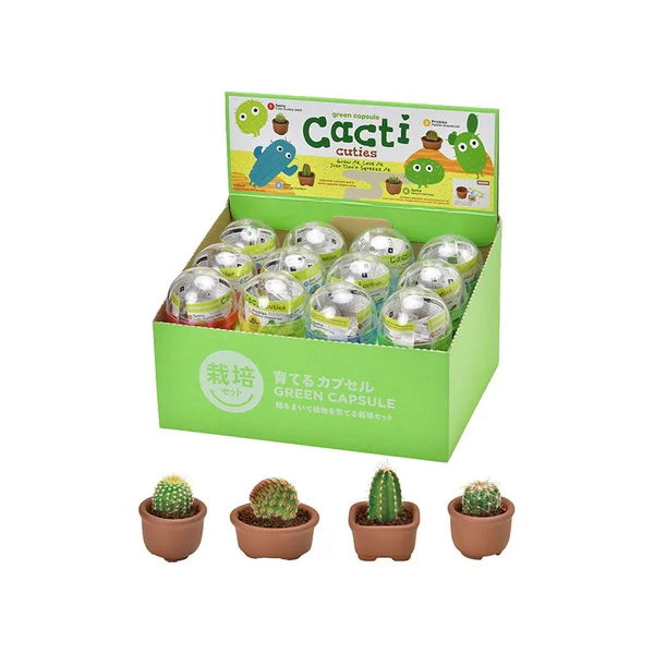 Kit Green capsule pour faire pousser un mini Cactus