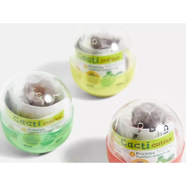 Kit Green capsule pour faire pousser un mini Cactus