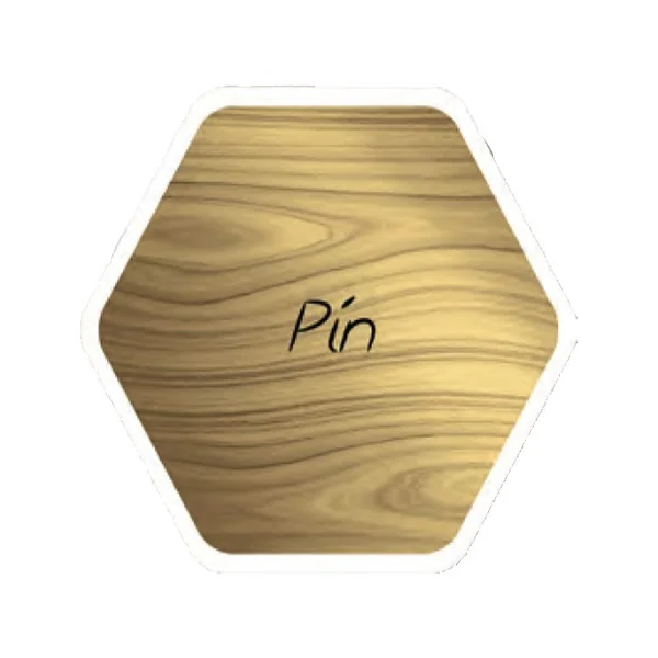 Lasure Acrylique Addict Pin