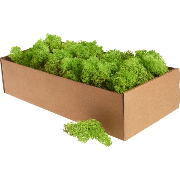 Lichen d'Islande, 400 g
