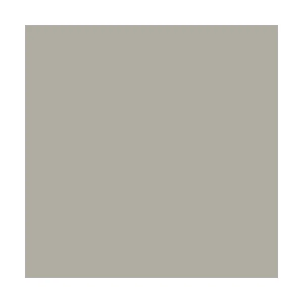 LINITOP Opaque Protect Gris antique (101) Mat