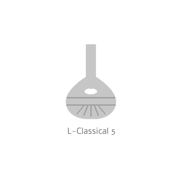 Luth Espagnol Alhambra L-11 P A - Épicéa Massif / Palissandre d’Inde Massif + Etui