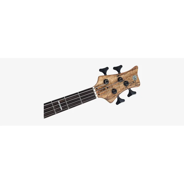 M. MILLER F10 DX 4 NT (Spalted Maple Top)