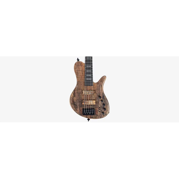 M. MILLER F10 DX 5 NT (Spalted Maple Top)