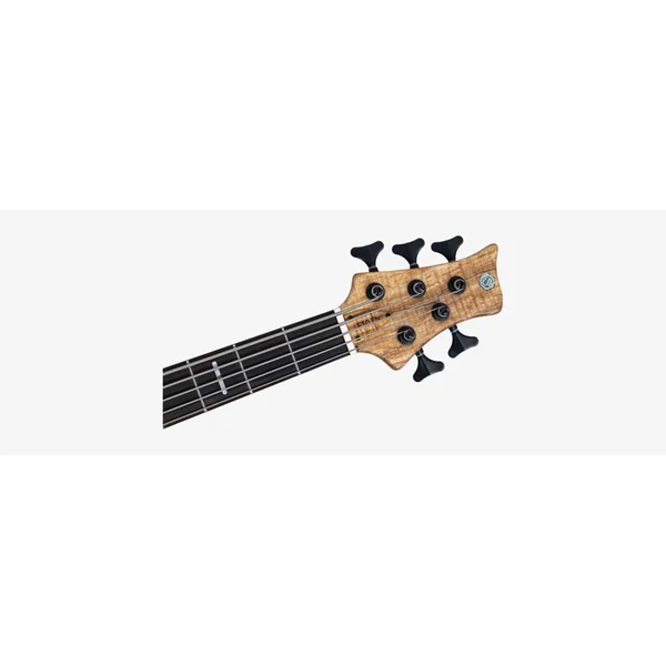 M. MILLER F10 DX 5 NT (Spalted Maple Top)