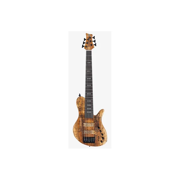 M. MILLER F10 DX 6 NT (Spalted Maple Top)