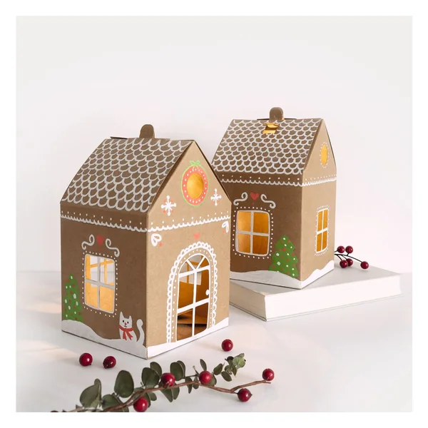 Maisons en carton kraft