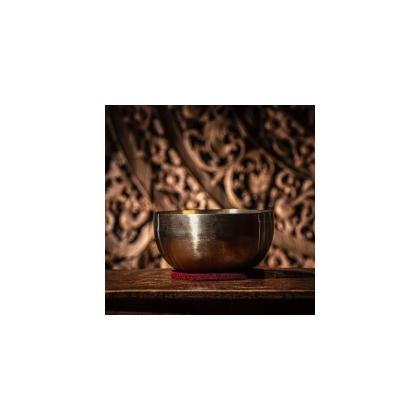 MEINL SONIC ENERGY Bol Sonic Universal - 17Cm