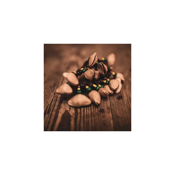 MEINL SONIC ENERGY Bracelet Kenari