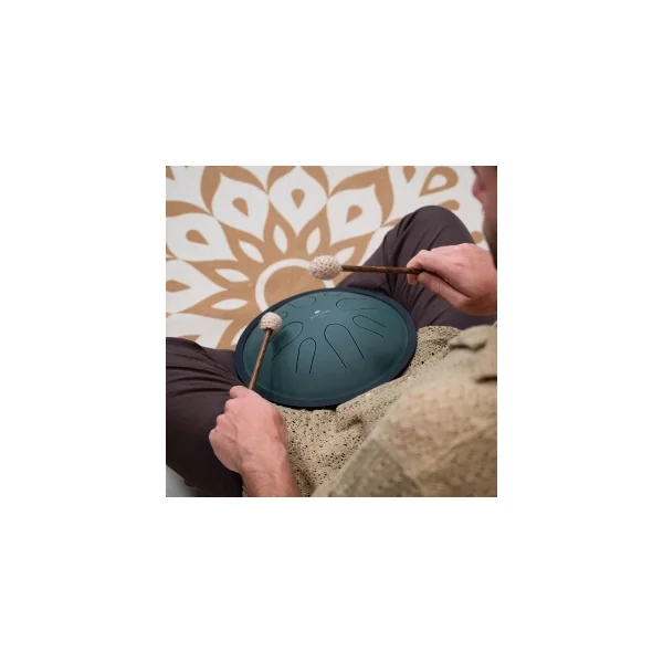 MEINL SONIC ENERGY CSTD1DG Compact Steel Tongue Drum 10" Si Mineur 432hz, 8 Notes, Dark Green