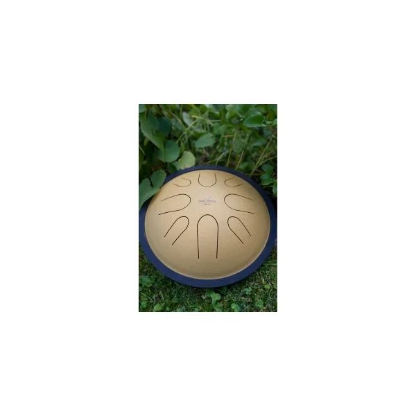 MEINL SONIC ENERGY CSTD3G Compact Steel Tongue Drum 10" Ré Mineur 432hz, 8 Notes, Gold