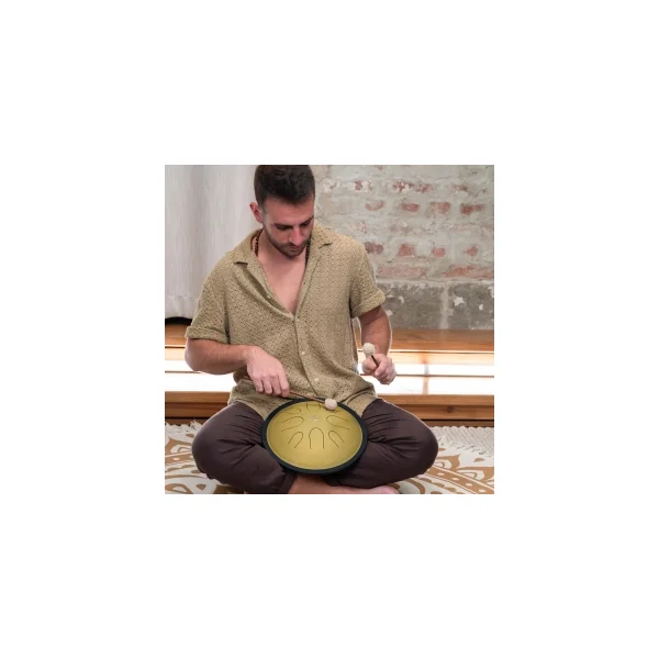 MEINL SONIC ENERGY CSTD3G Compact Steel Tongue Drum 10" Ré Mineur 432hz, 8 Notes, Gold