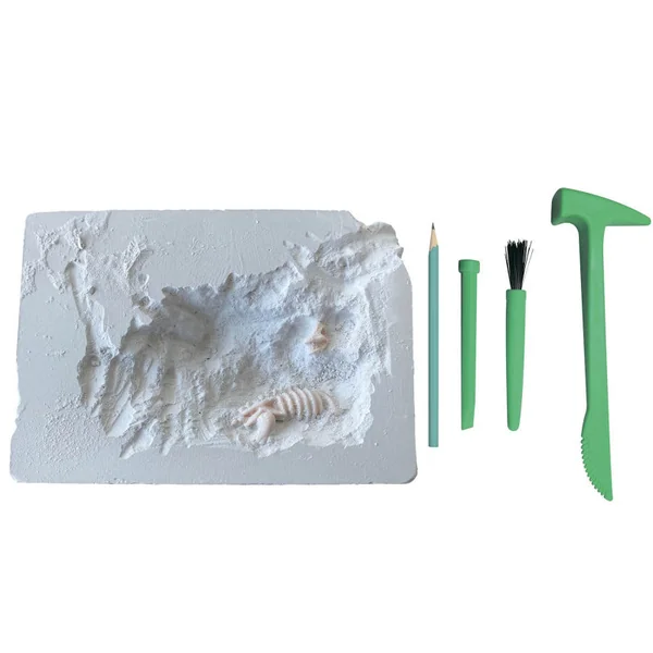Mes 2 dinosaures à déterrer - Auzou