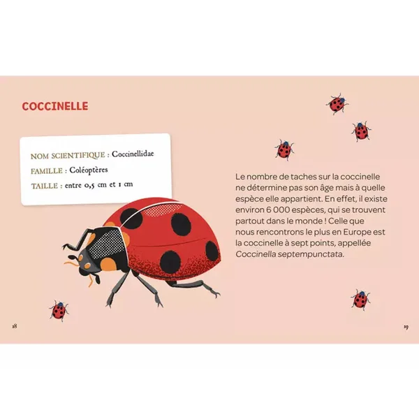 Mes insectes à déterrer - Auzou