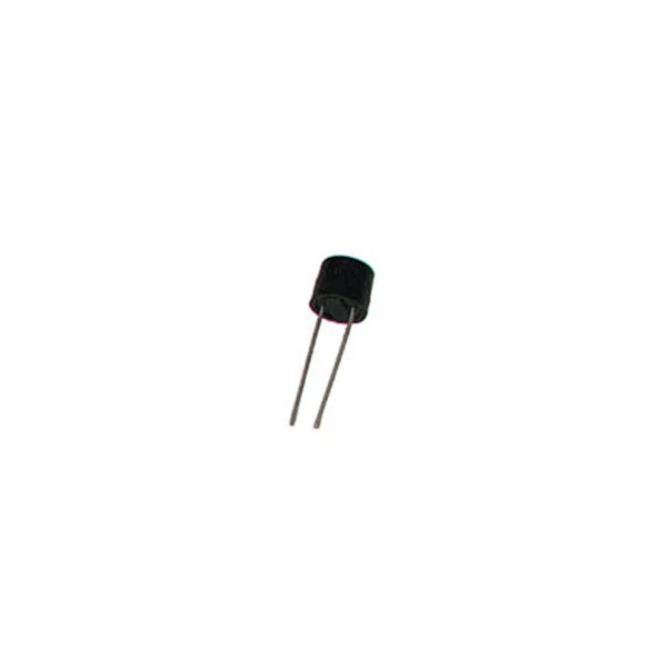 Micro fusible 0,5A lent