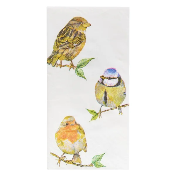 Mouchoirs en papier « Birds »