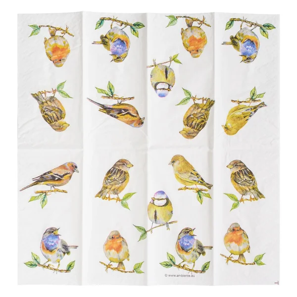 Mouchoirs en papier « Birds »