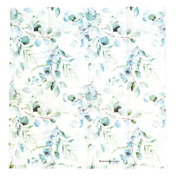 Mouchoirs en papier « Eucalyptus all over »